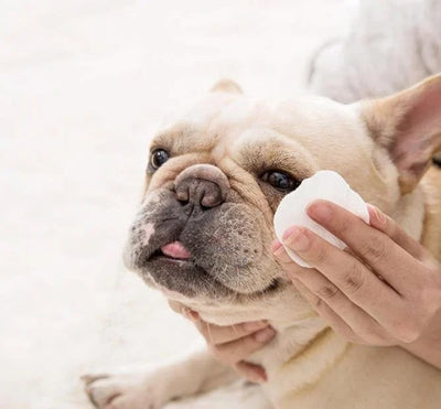 AugeLeichtigkeit™ Entfernt sanft Flecken