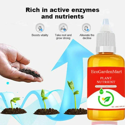 2+1 Gratis | PflanzenKraft™ Natürlicher Wachstumsboost