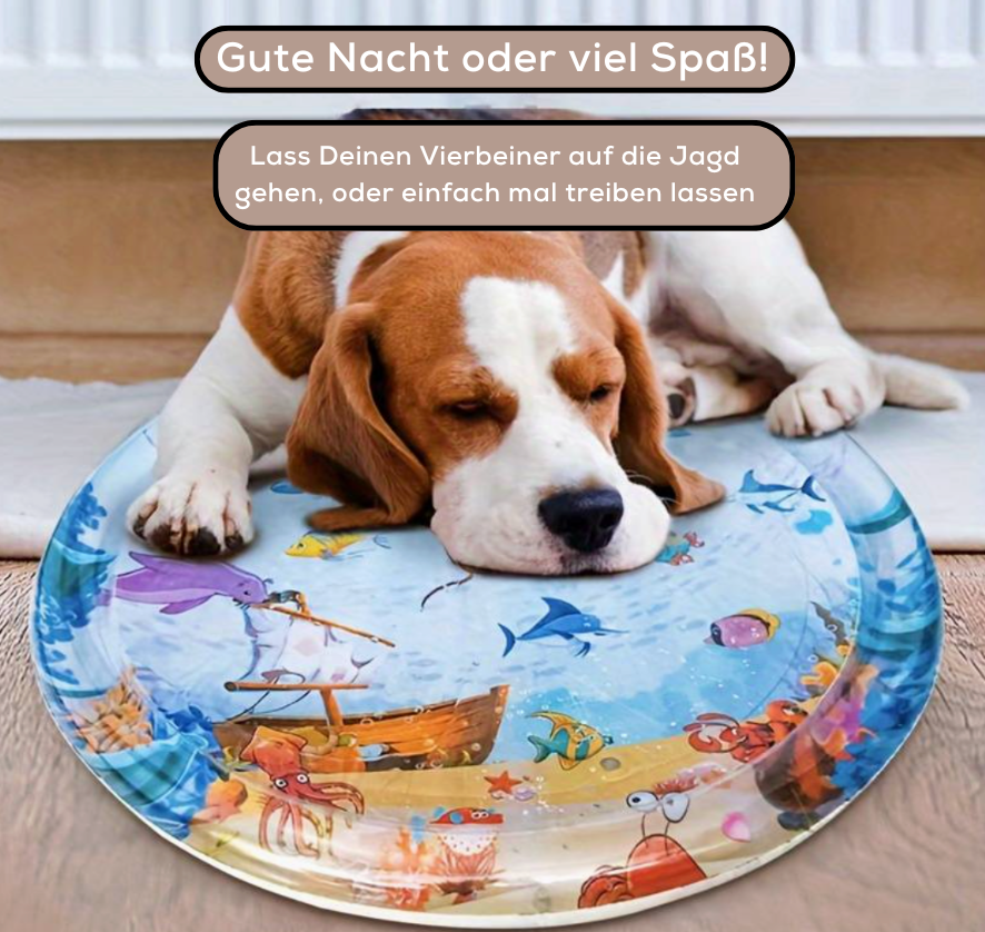 SensorischerRitt™ Fahren Lernen Spielen