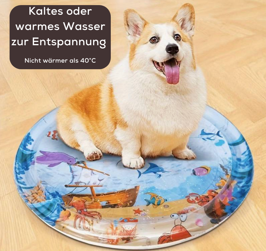 SensorischerRitt™ Fahren Lernen Spielen