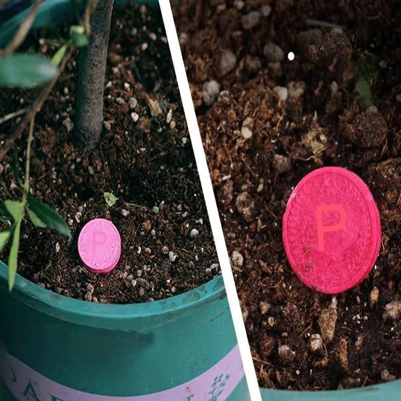 Wachstumsverstärker™  Gesundes Wachstum fördern