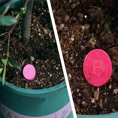 Wachstumsverstärker™  Gesundes Wachstum fördern