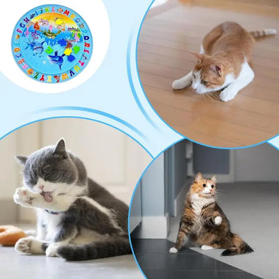 SensorischerRitt™ Fahren Lernen Spielen