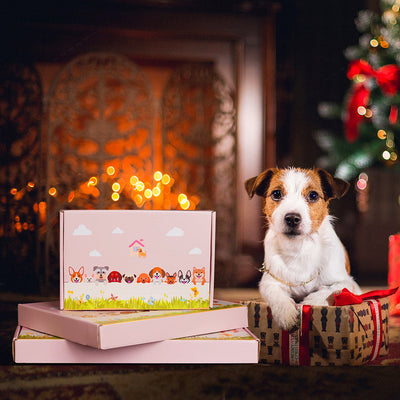 Abessinische Katze Blumentopf