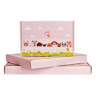 Blumentopf mit weißer Katze