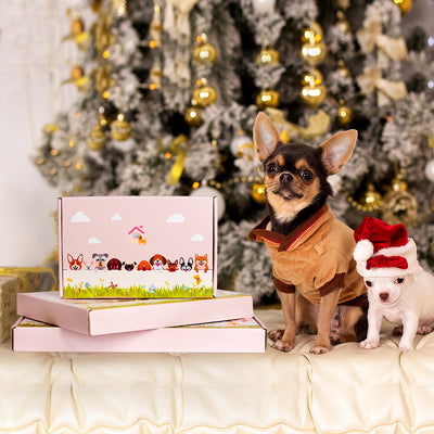 Brauner Bär Pflanzgefäß