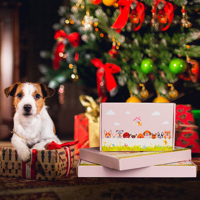 Flower Pot in the Shape of a Fox Terrier