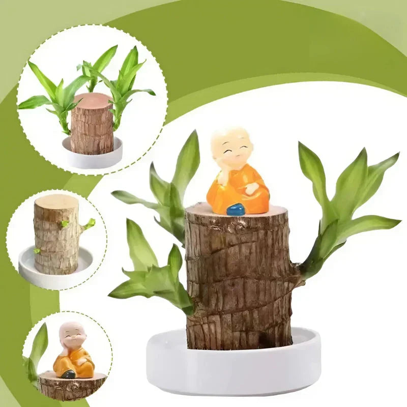 LuckyVerdant – Brasilianischer Holzanhänger